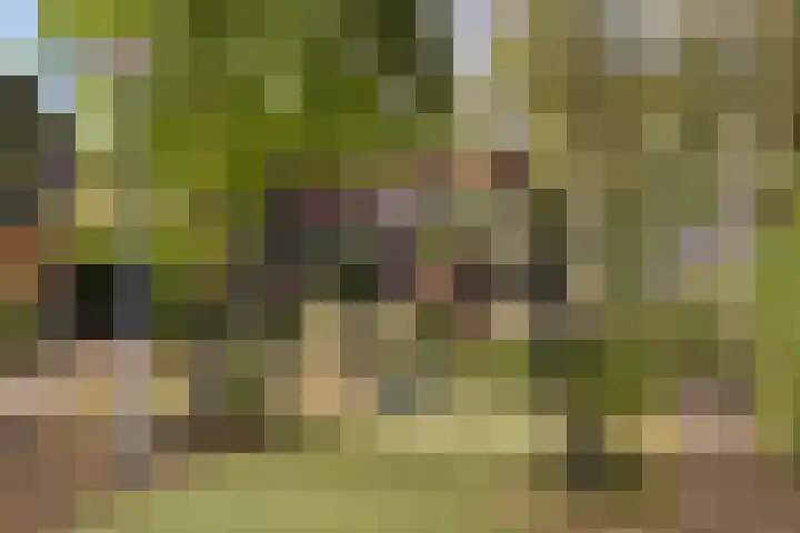 Tielekeshoeven 13 Rosmalen thumbnail 37