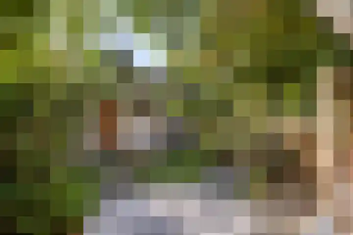 Tielekeshoeven 13 Rosmalen thumbnail 6