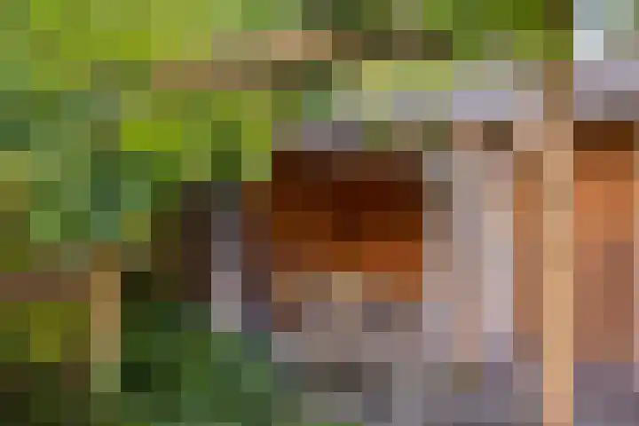 Tielekeshoeven 13 Rosmalen thumbnail 7