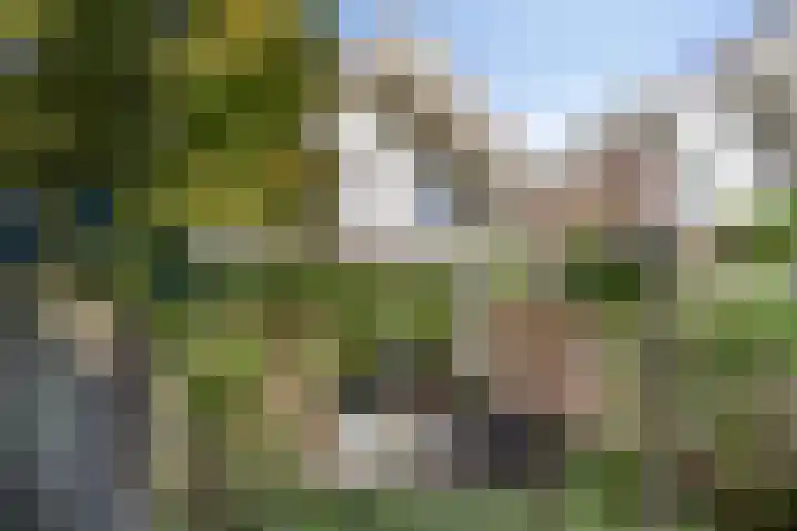Tielekeshoeven 13 Rosmalen thumbnail 8