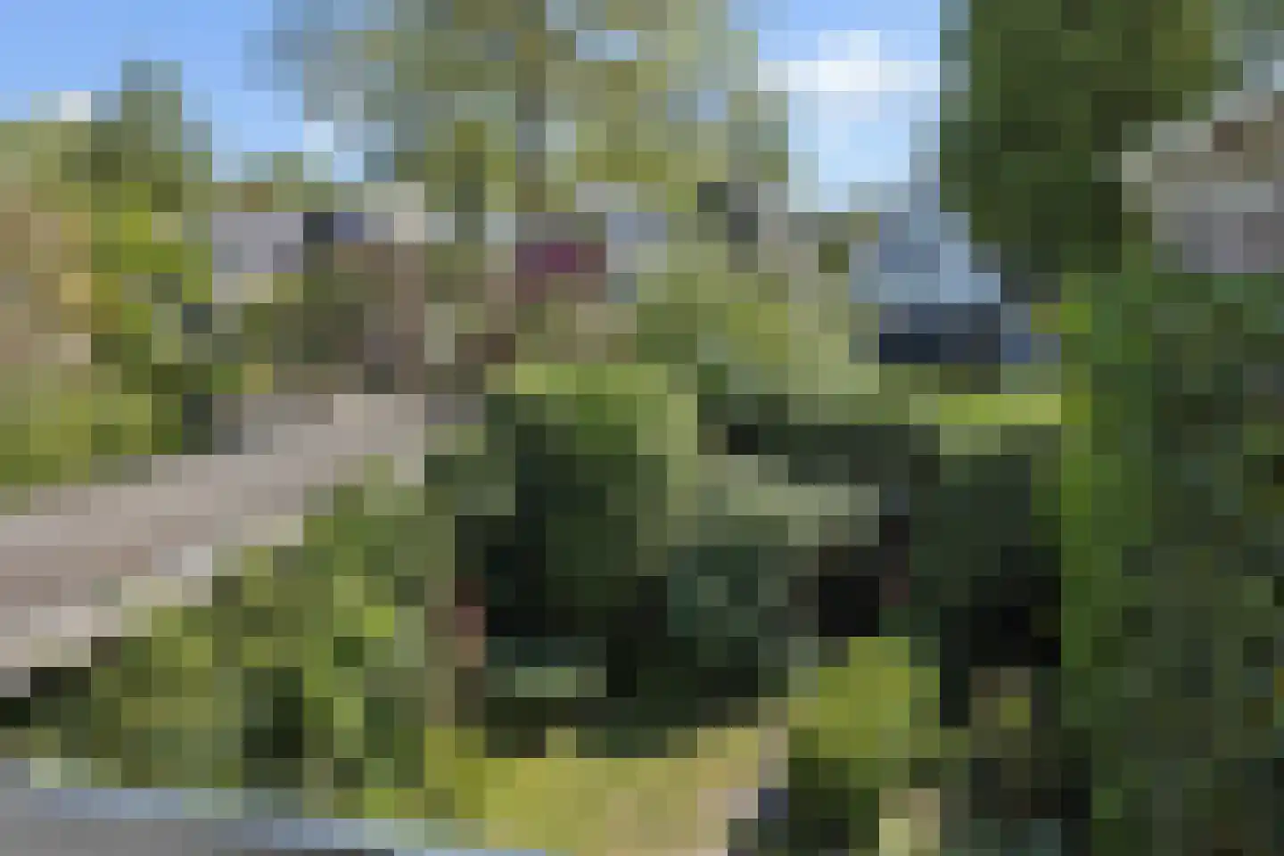 Tielekeshoeven 24 Rosmalen thumbnail 19