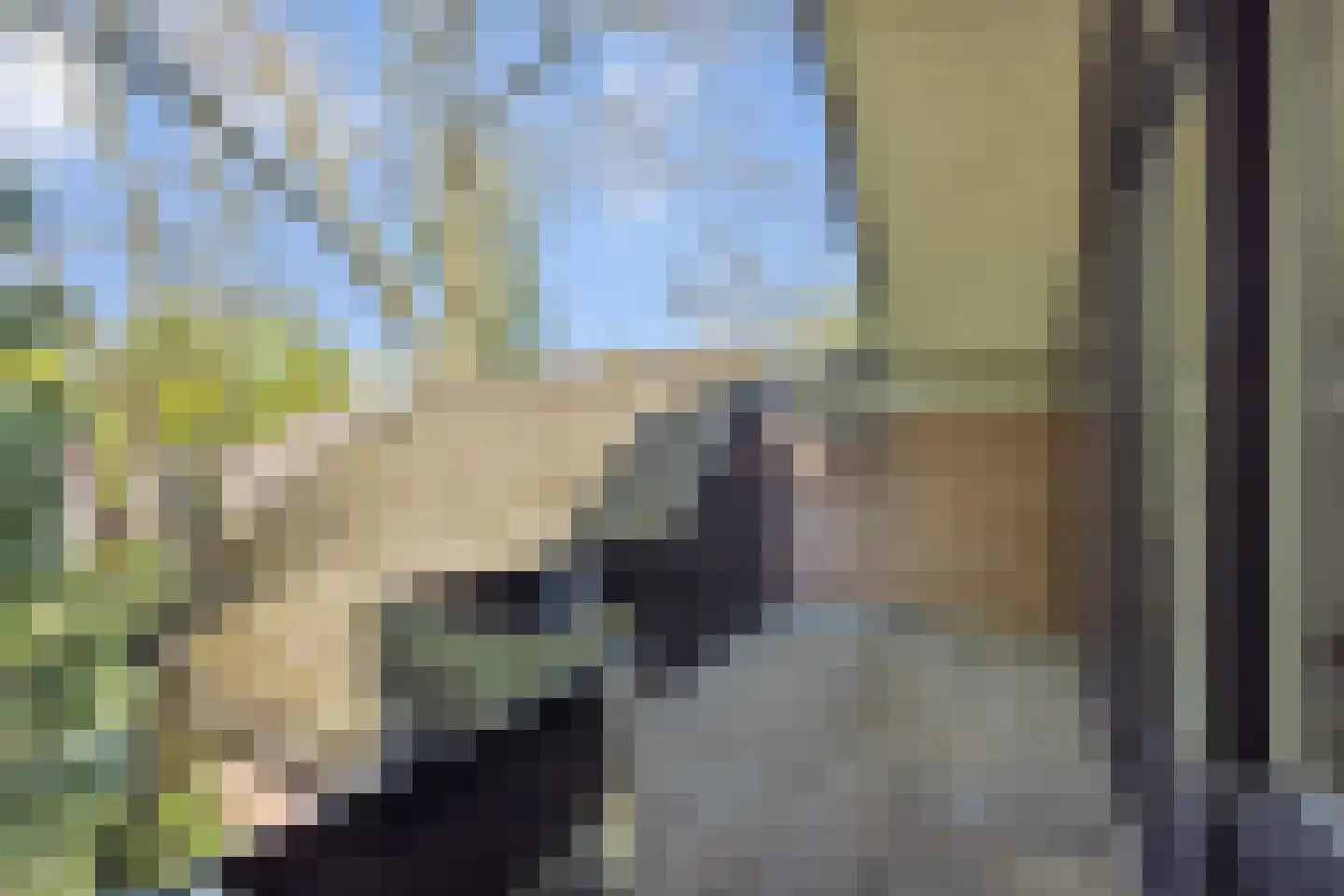 Tielekeshoeven 24 Rosmalen thumbnail 22