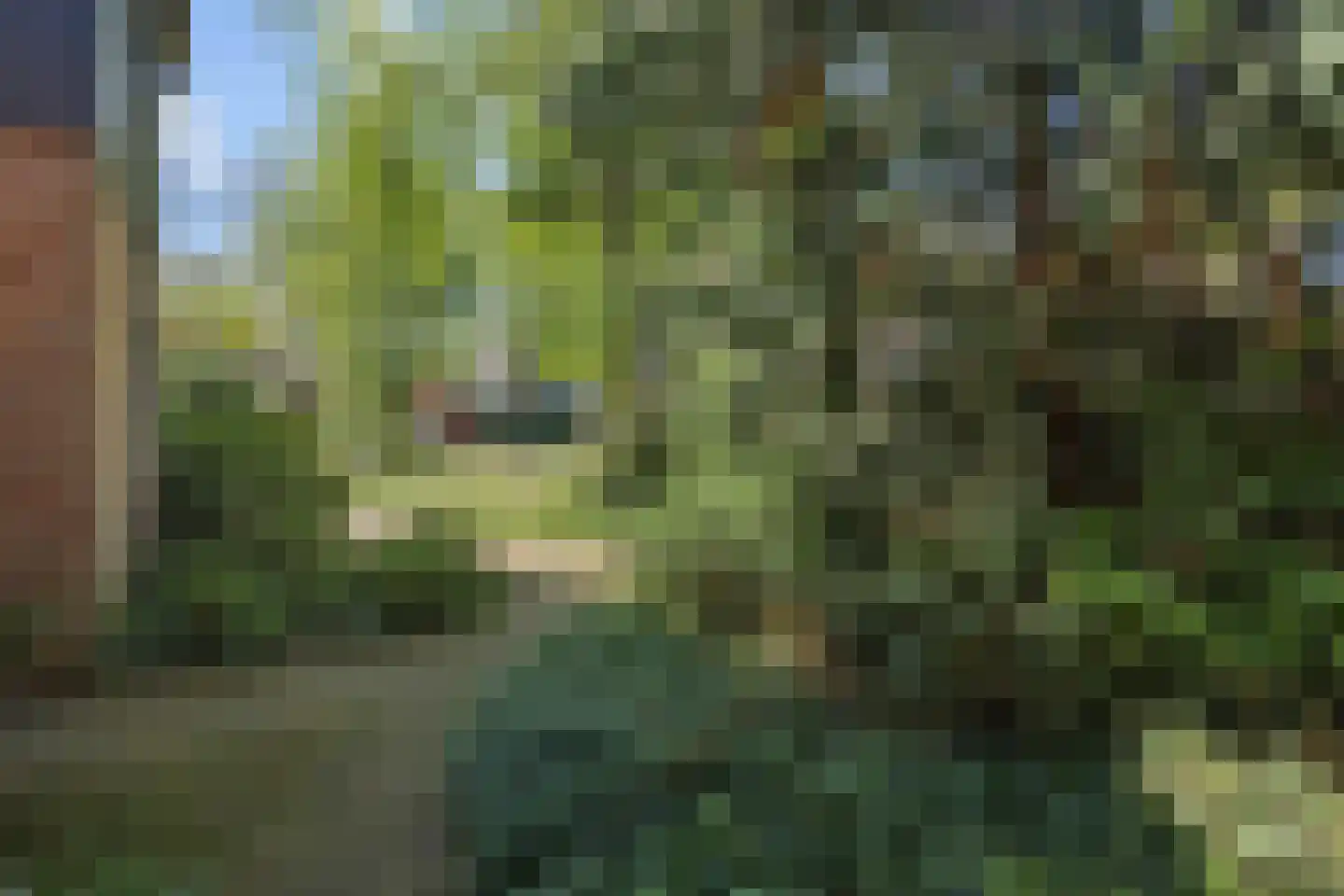 Tielekeshoeven 24 Rosmalen thumbnail 24