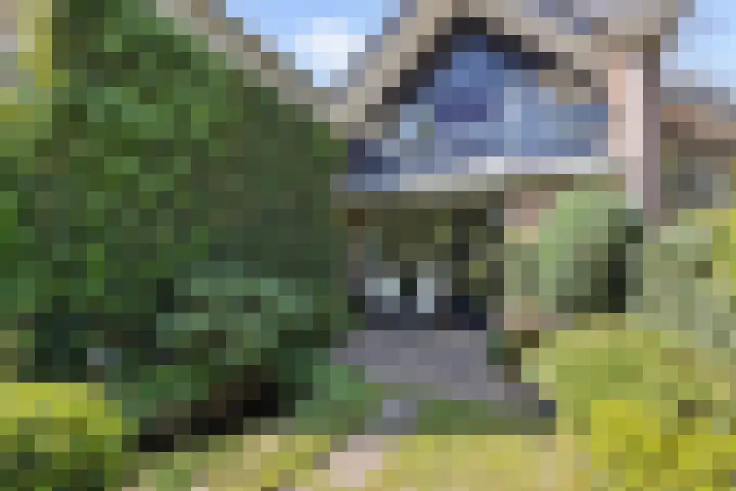 Tielekeshoeven 24 Rosmalen thumbnail 27
