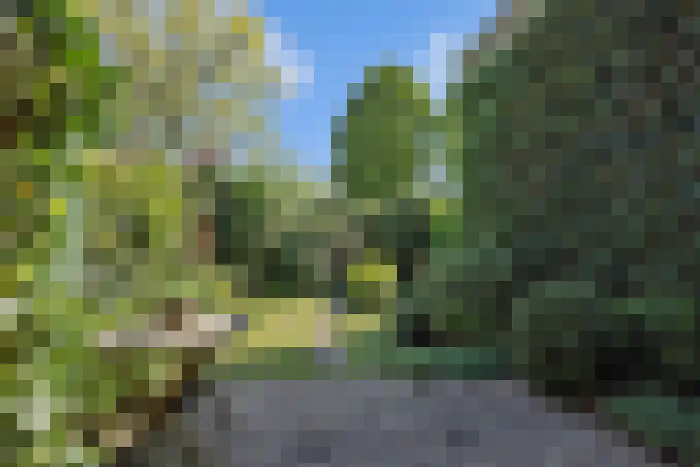 Tielekeshoeven 24 Rosmalen thumbnail 29