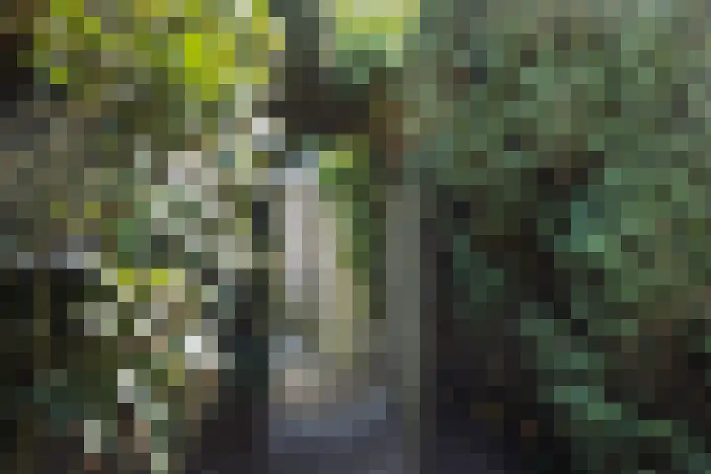 Tielekeshoeven 24 Rosmalen thumbnail 30