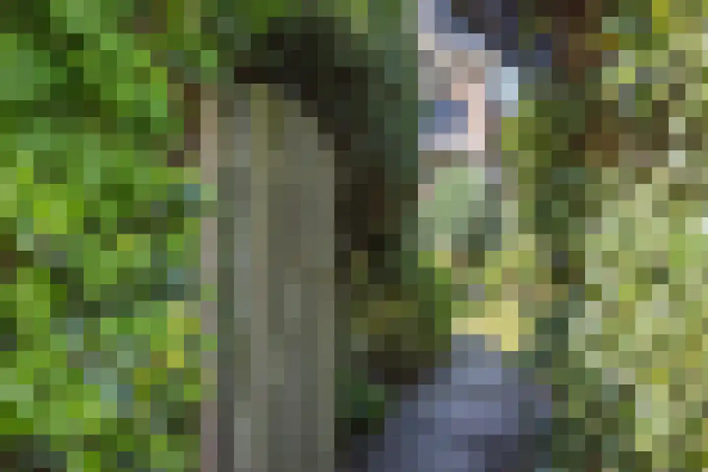 Tielekeshoeven 24 Rosmalen thumbnail 31