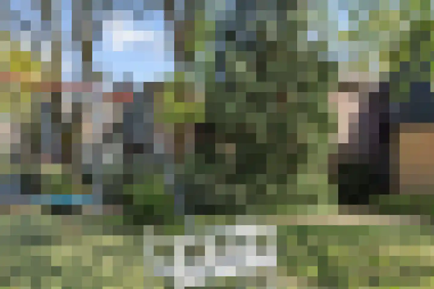 Tielekeshoeven 24 Rosmalen thumbnail 33
