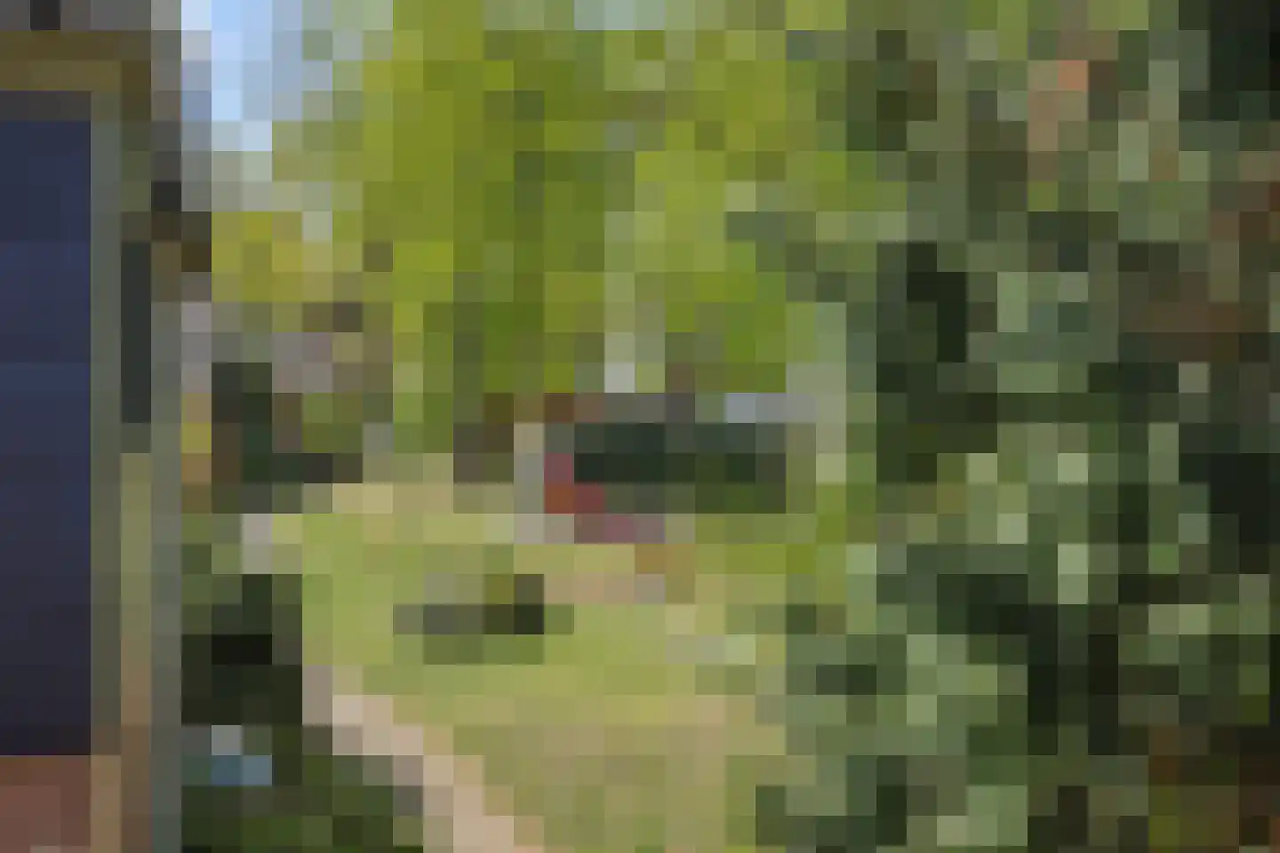 Tielekeshoeven 24 Rosmalen thumbnail 34