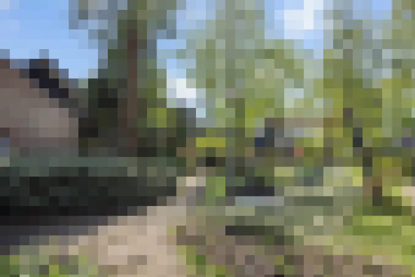 Tielekeshoeven 24 Rosmalen thumbnail 4