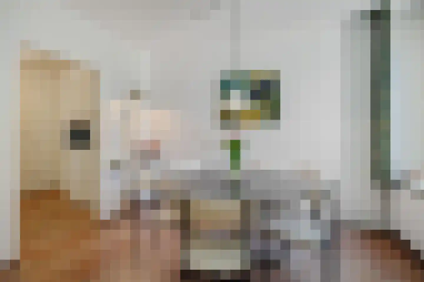Tielekeshoeven 24 Rosmalen thumbnail 6