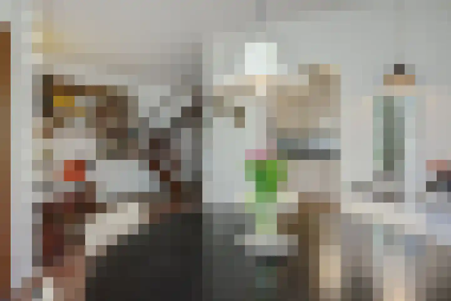 Tielekeshoeven 24 Rosmalen thumbnail 8