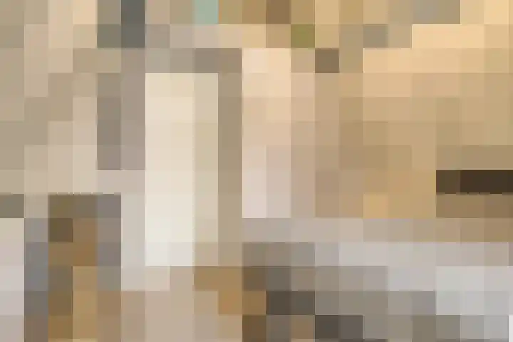 Tielekeshoeven 38 Rosmalen thumbnail 20