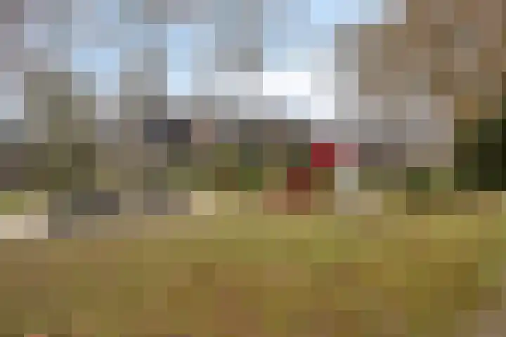 Tielekeshoeven 38 Rosmalen thumbnail 30