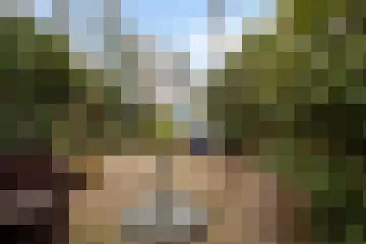 Tielekeshoeven 38 Rosmalen thumbnail 9