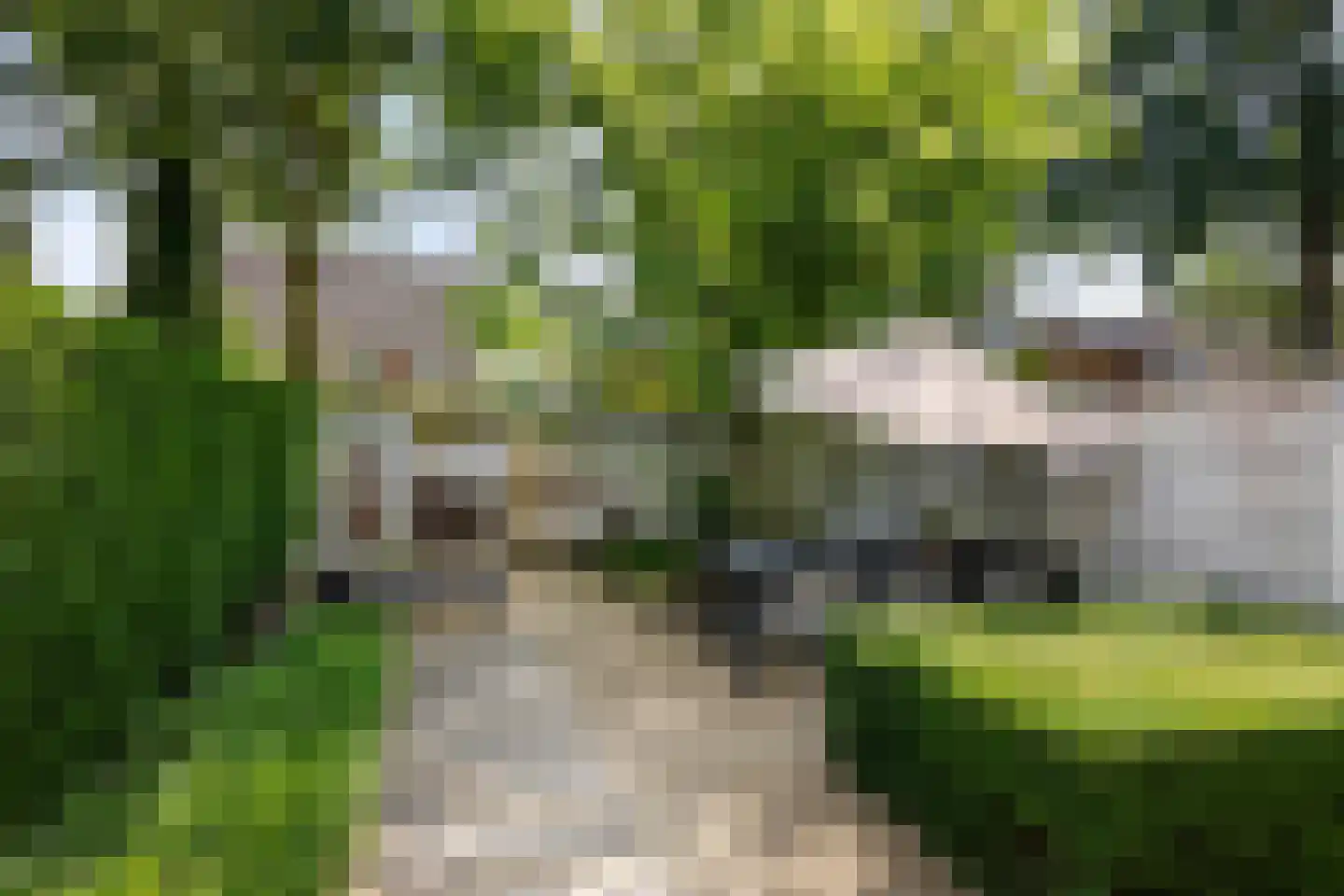 Tielekeshoeven 60 Rosmalen thumbnail 20