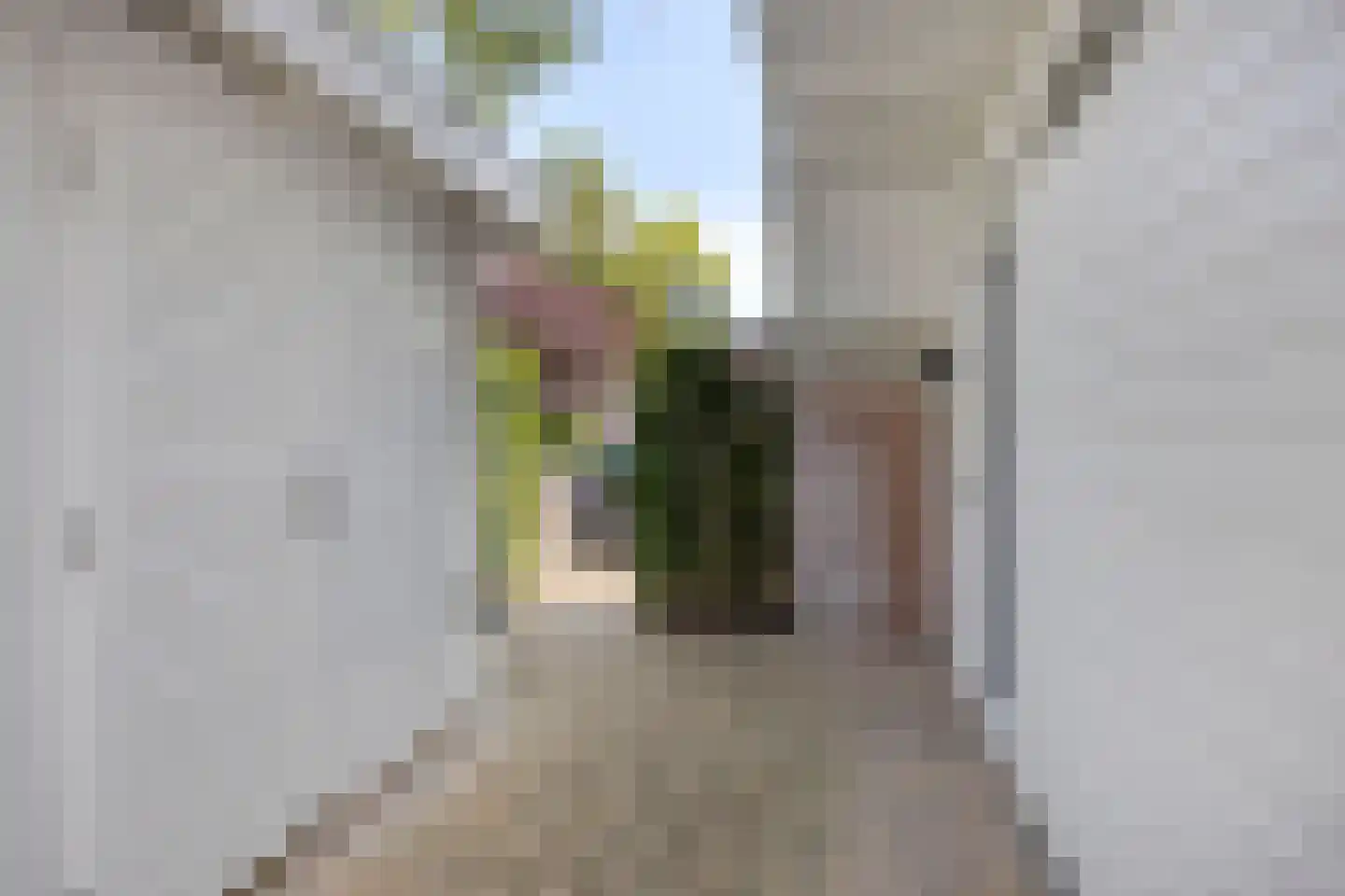Tielekeshoeven 60 Rosmalen thumbnail 24