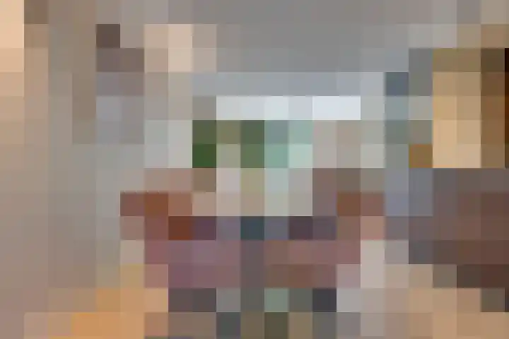 Tielekeshoeven 79 Rosmalen thumbnail 11