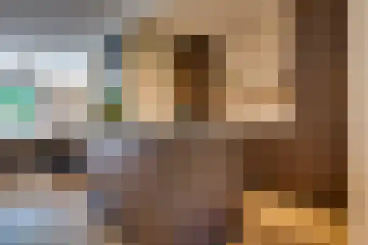 Tielekeshoeven 79 Rosmalen thumbnail 17