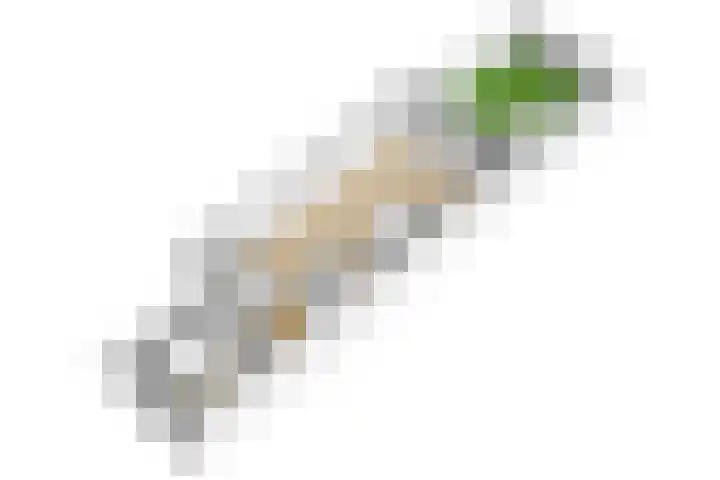 Tielekeshoeven 79 Rosmalen thumbnail 37