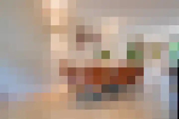 Tielekeshoeven 79 Rosmalen thumbnail 8