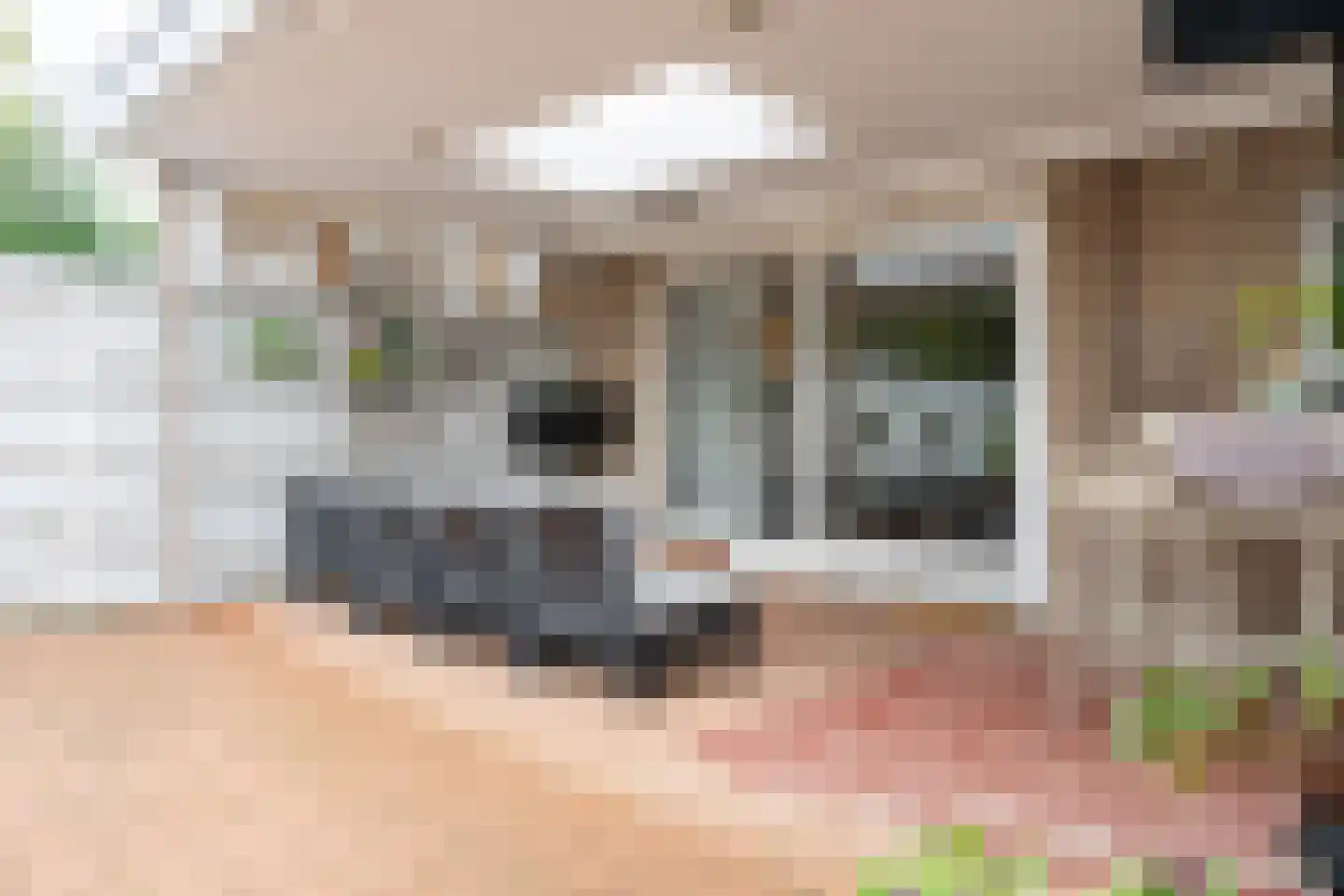 Tielensstraat 4 Geleen thumbnail 40