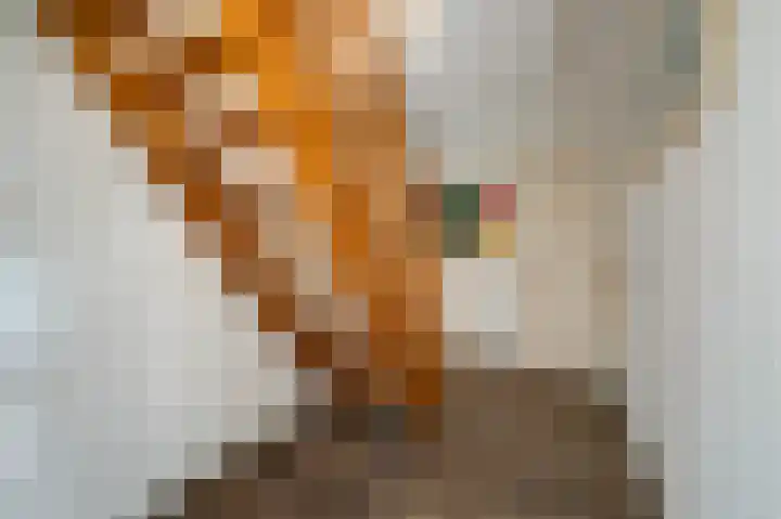 Tielerwaard 1 Emmeloord thumbnail 11