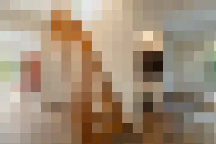 Tielerwaard 1 Emmeloord thumbnail 12