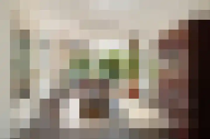 Tielerwaard 1 Emmeloord thumbnail 13