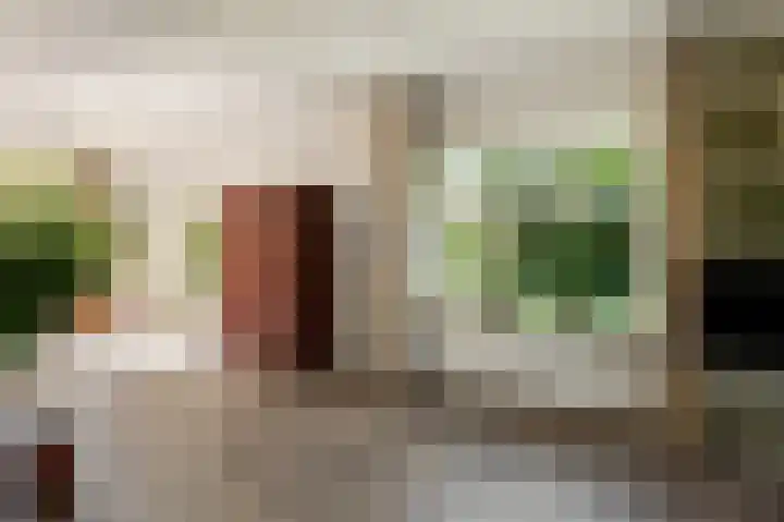 Tielerwaard 1 Emmeloord thumbnail 16