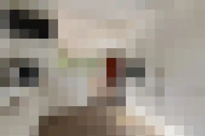 Tielerwaard 1 Emmeloord thumbnail 19