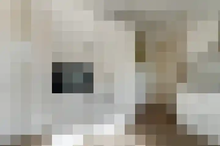 Tielerwaard 1 Emmeloord thumbnail 20