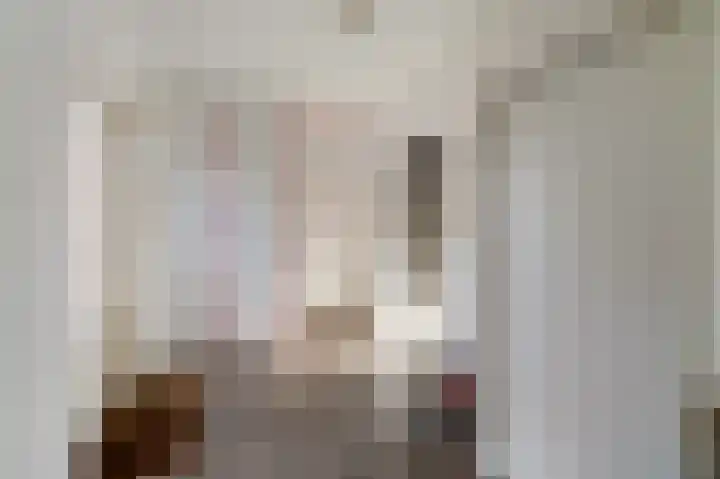 Tielerwaard 1 Emmeloord thumbnail 21