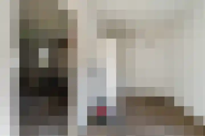 Tielerwaard 1 Emmeloord thumbnail 22