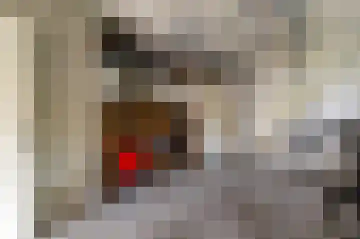 Tielerwaard 1 Emmeloord thumbnail 24