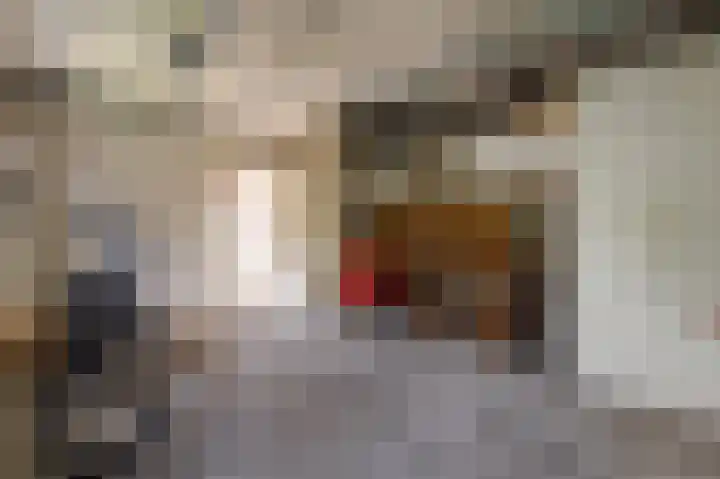 Tielerwaard 1 Emmeloord thumbnail 25