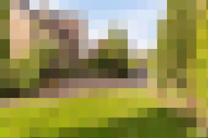 Tielerwaard 1 Emmeloord thumbnail 26
