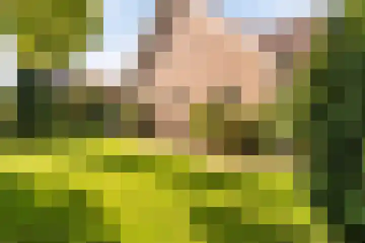 Tielerwaard 1 Emmeloord thumbnail 27