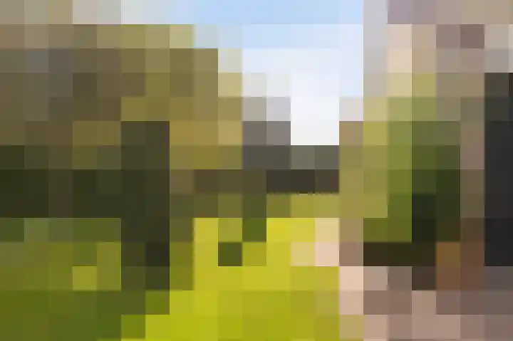 Tielerwaard 1 Emmeloord thumbnail 28