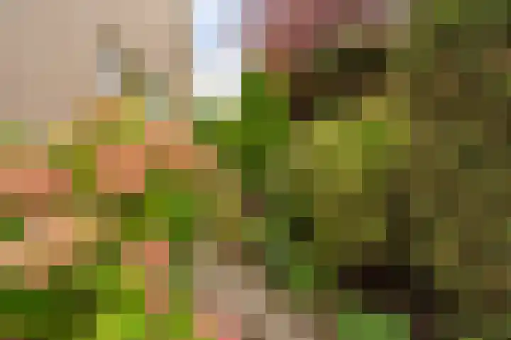 Tielerwaard 1 Emmeloord thumbnail 29