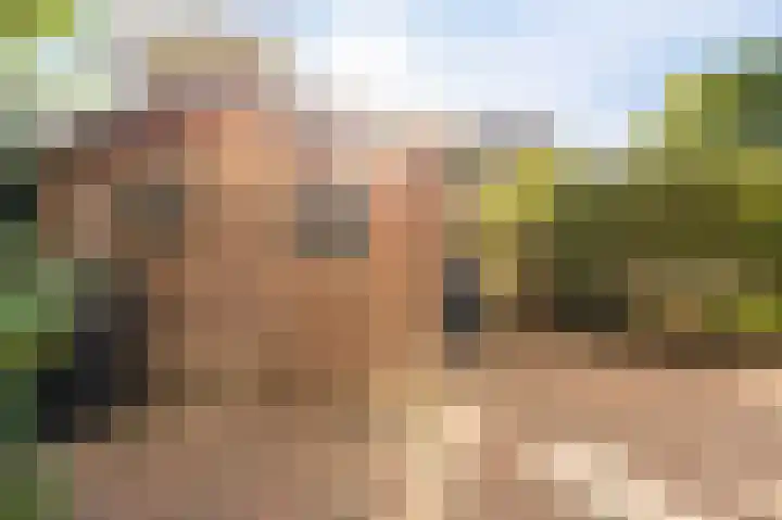 Tielerwaard 1 Emmeloord thumbnail 30