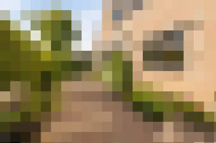 Tielerwaard 1 Emmeloord thumbnail 31