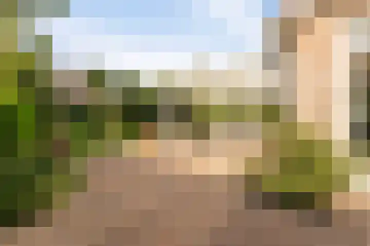 Tielerwaard 1 Emmeloord thumbnail 33