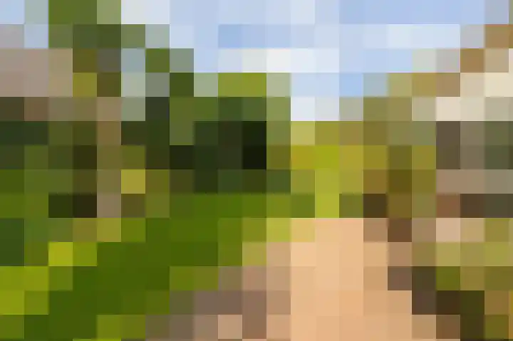 Tielerwaard 1 Emmeloord thumbnail 34