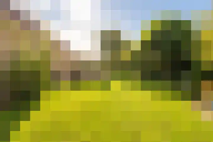 Tielerwaard 1 Emmeloord thumbnail 35