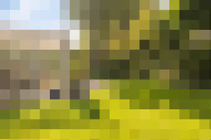 Tielerwaard 1 Emmeloord thumbnail 36