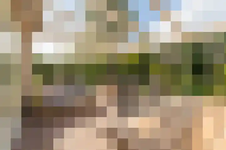 Tielerwaard 1 Emmeloord thumbnail 39