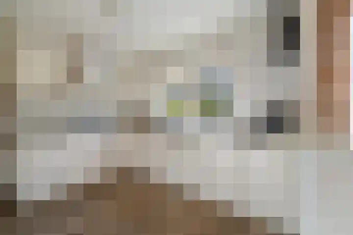 Tielerwaard 1 Emmeloord thumbnail 4