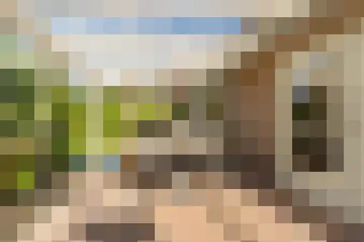 Tielerwaard 1 Emmeloord thumbnail 40