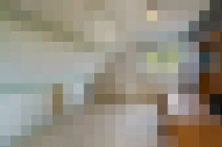 Tielerwaard 1 Emmeloord thumbnail 42